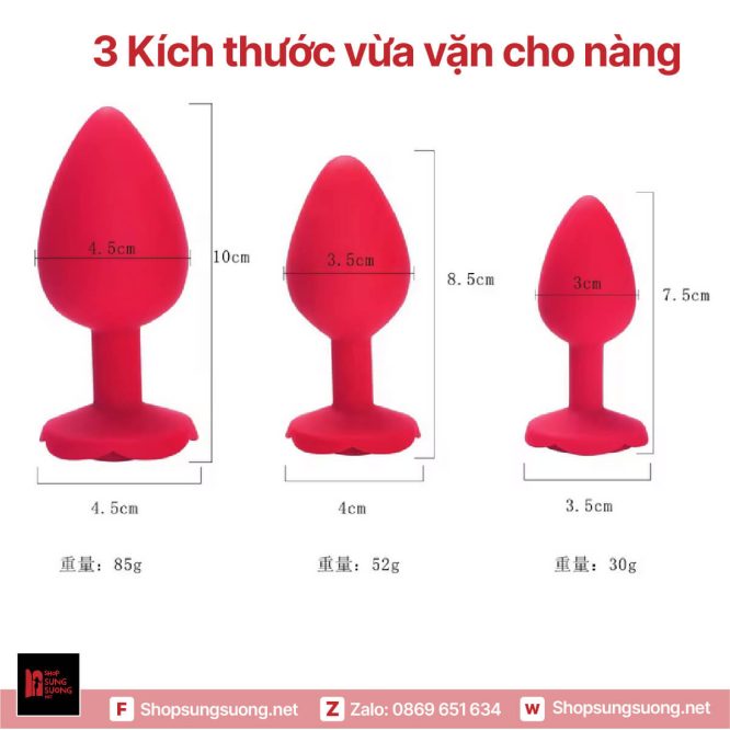 Kích thước nút hậu môn hoa hồng